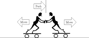 پاراگلایدر چگونه پرواز می کند؟ 12 p11