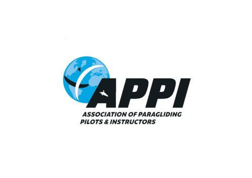 APPI-Logo