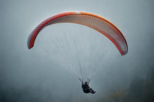 هیچ‌گاه با بال خیس و یا در باران پرواز نکنید.